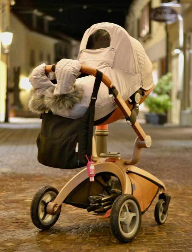 Hot Mom F023 /f22 Stroller Accessories Winter Outkit With Footmuff And Winter Gloves Thickened Canopy